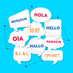 шкільні підручники інші іноземні мови на сайті school-textbook.com